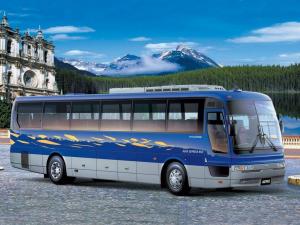 Hyundai Aero Express 2005 года